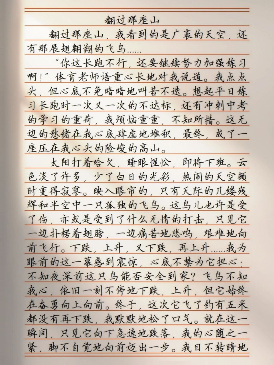 全文首尾呼應,渾然一體,既有紀實的敘述又不失文采,字裡行間盡現小