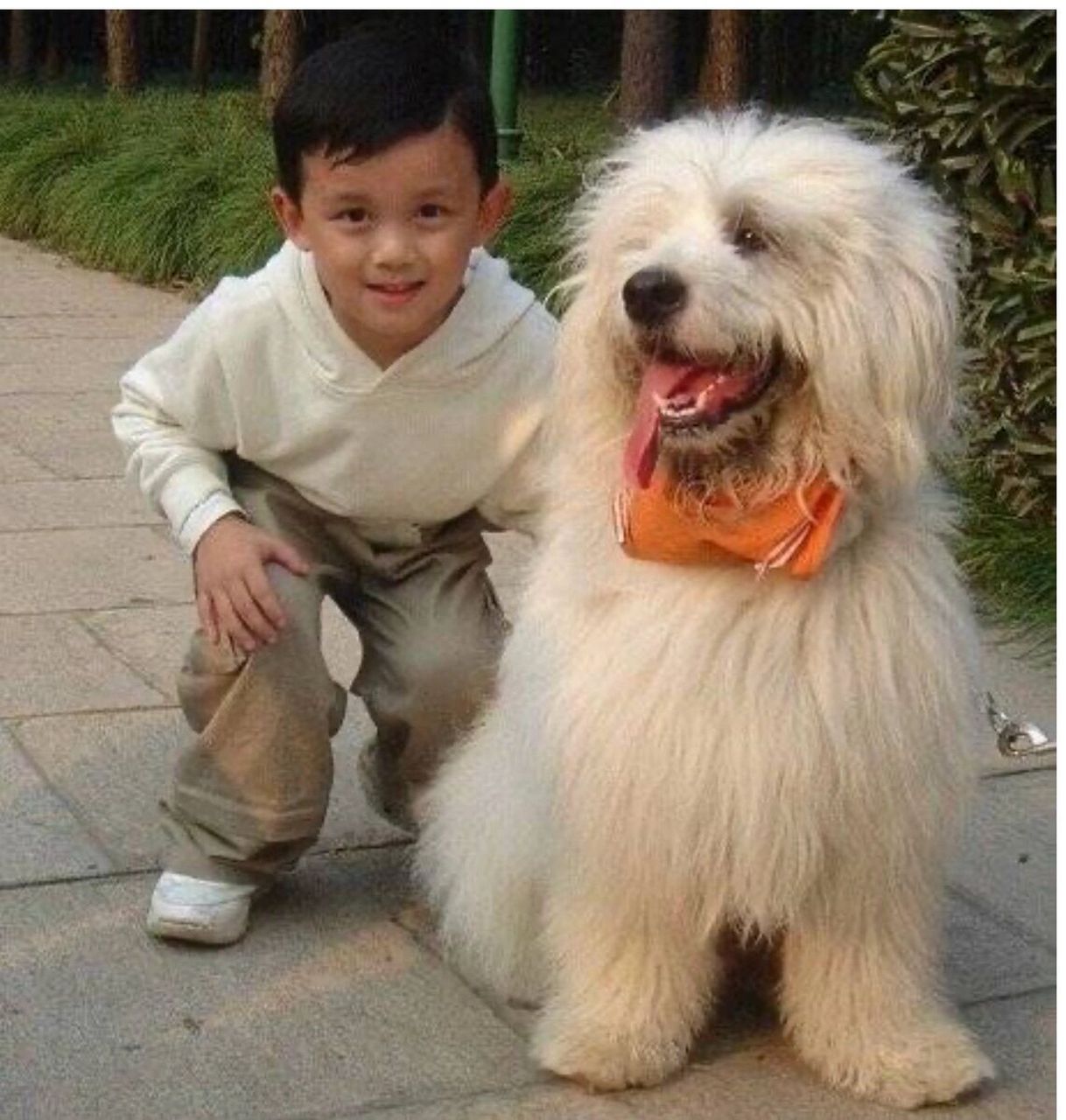 多乐士那个广告太牛了 小孩是吴磊 油漆工是龚俊 爸爸是林志颖 而你们