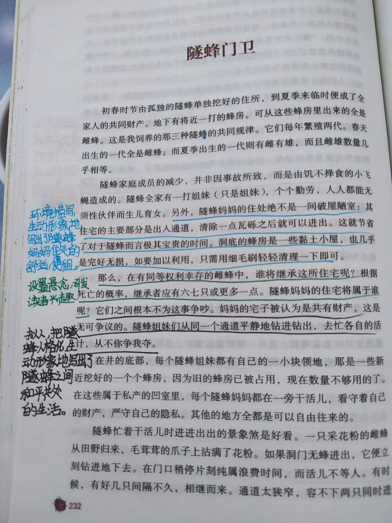 《昆虫记读书笔记》～隧蜂门卫