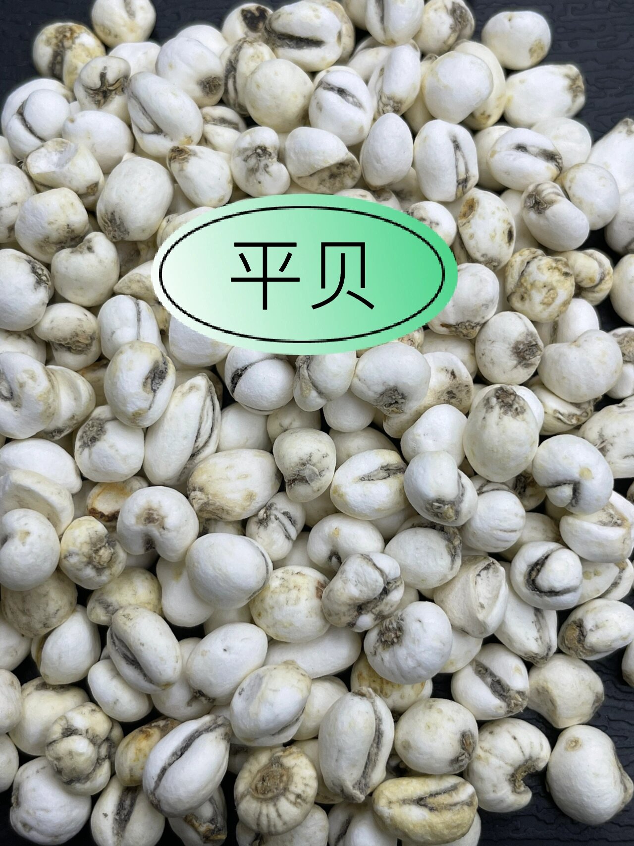 价格相差10倍的川贝 | 你买了哪种?