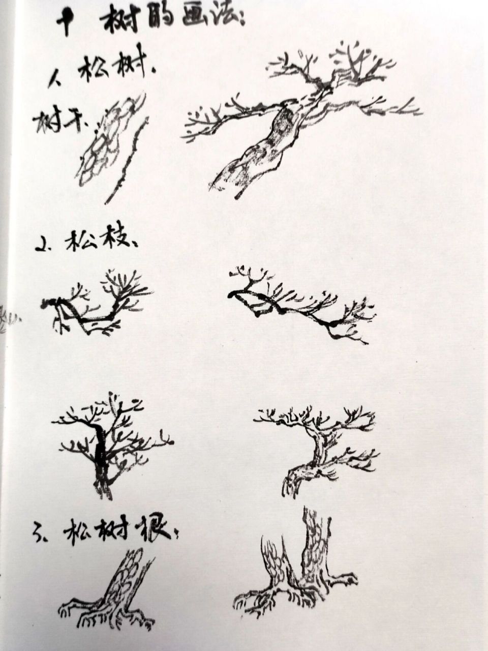 国画|山水画|树的画法(其一) 松树画法