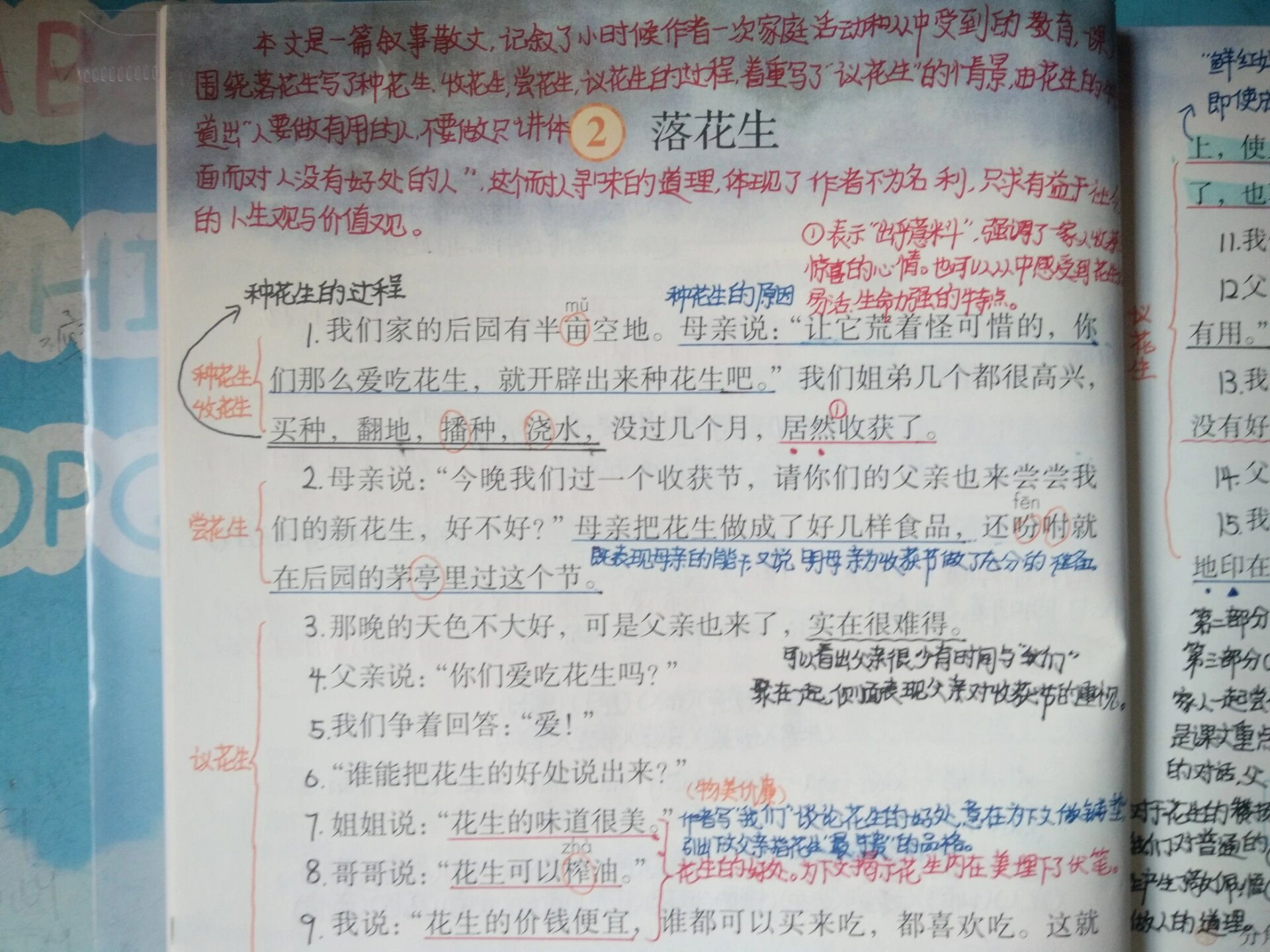 落花生课文笔记资料图片