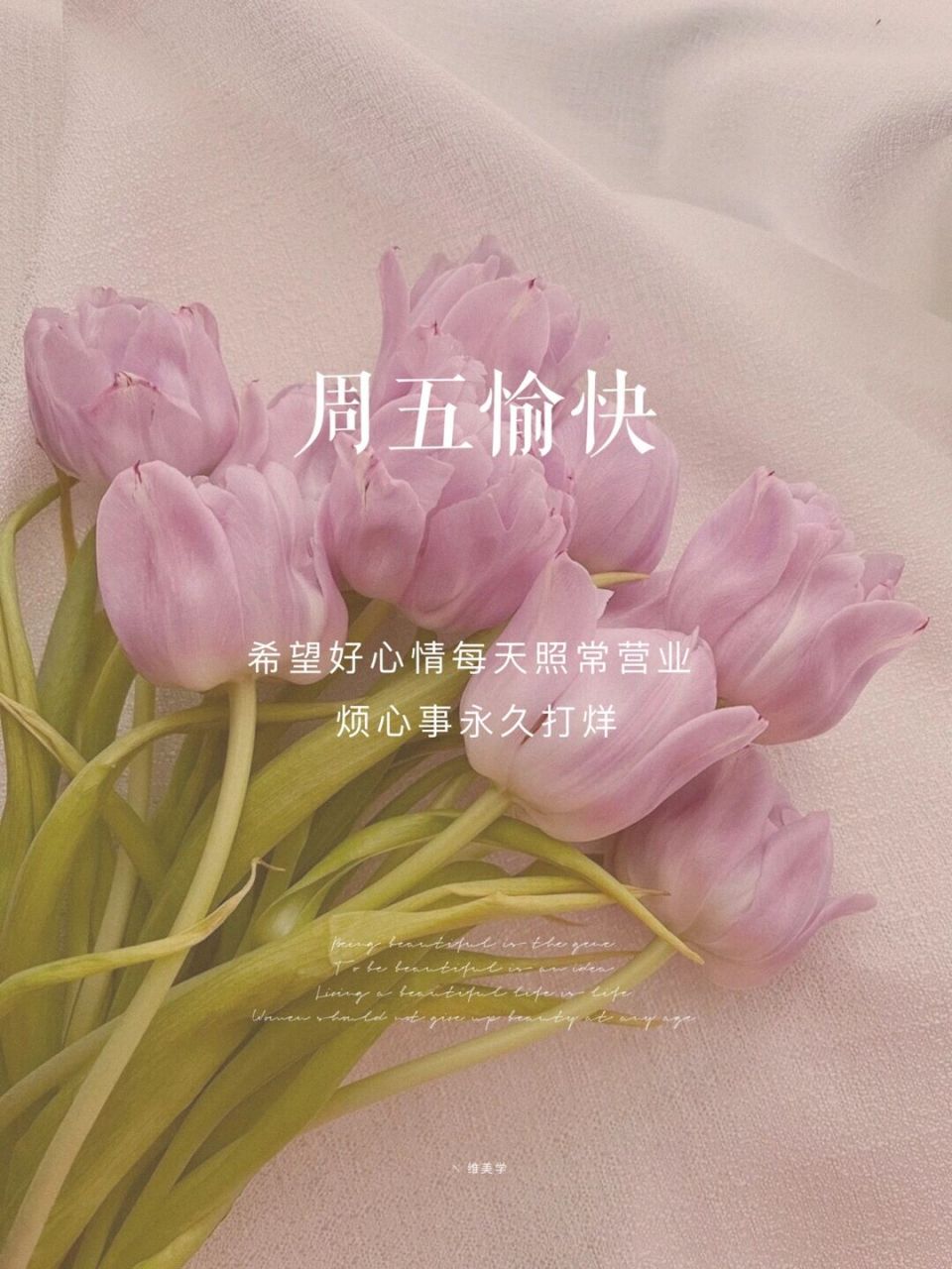 周五愉快 | 早安图片 | 美业| 朋友圈美学 79 美丽 可以没有标准 但