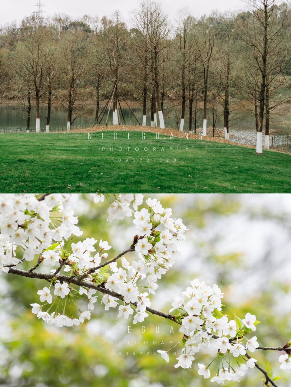 本周去爬了南中山,从沈院上山,路有很多,往前走了一段路就可以拐了