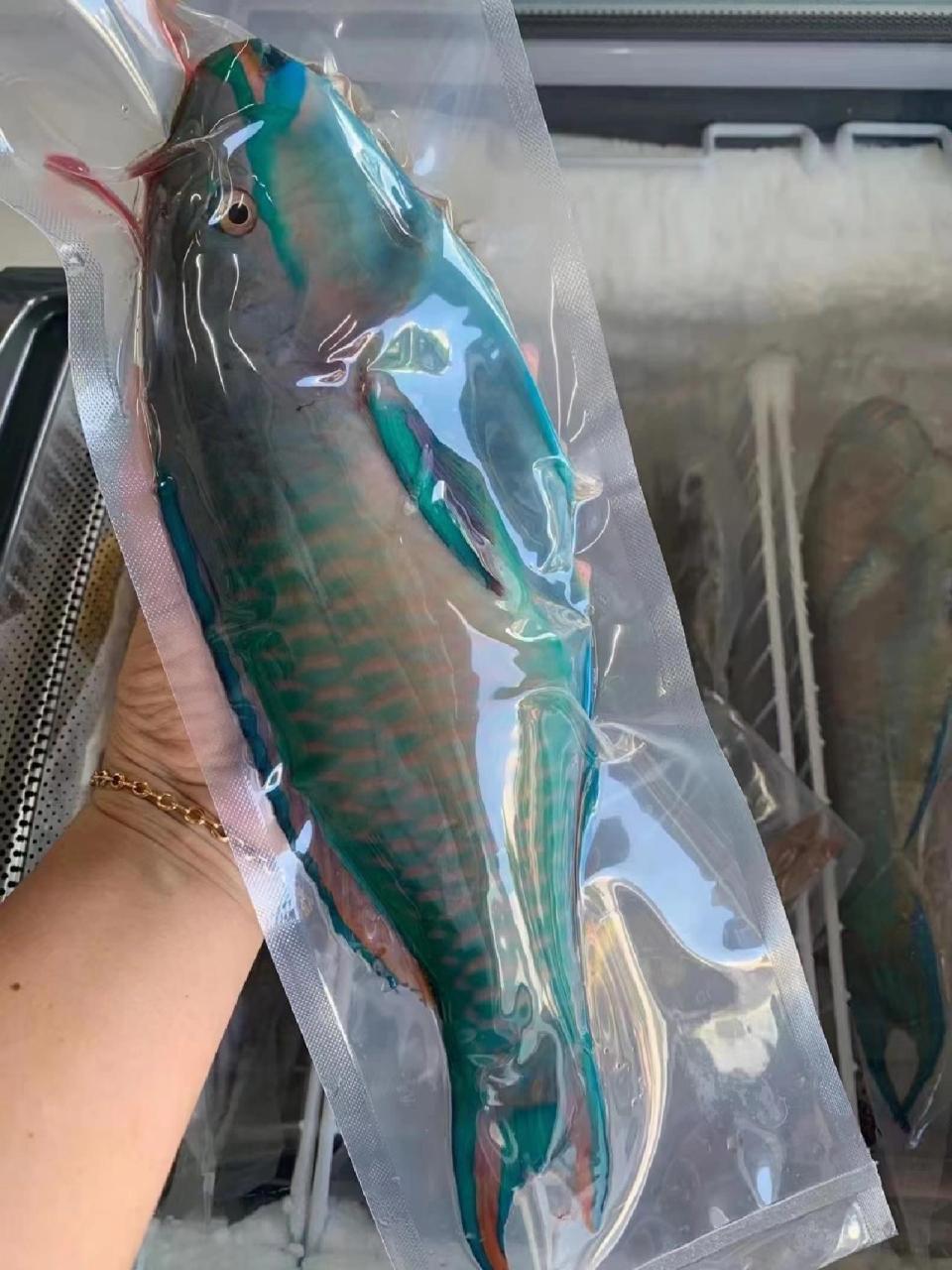 清蒸青衣鱼 一斤重的青衣鱼,蒸十一分钟,淋一层明