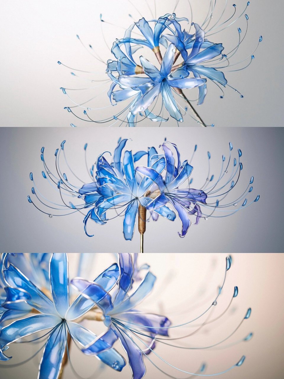 蓝色的曼珠沙华见过么? 蓝色高贵冷艳,红色妖异热烈.