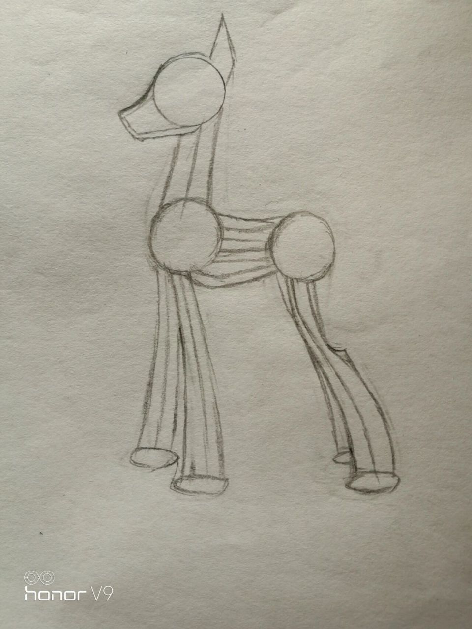 公马绘画教程      有小粉丝在我的上上个作品里说可以出一期公马绘画