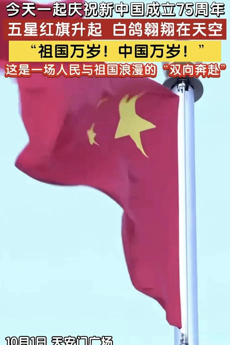 党旗和平鸽图片带有白鸽和国旗的图片2025最火国旗和平鸽图片9