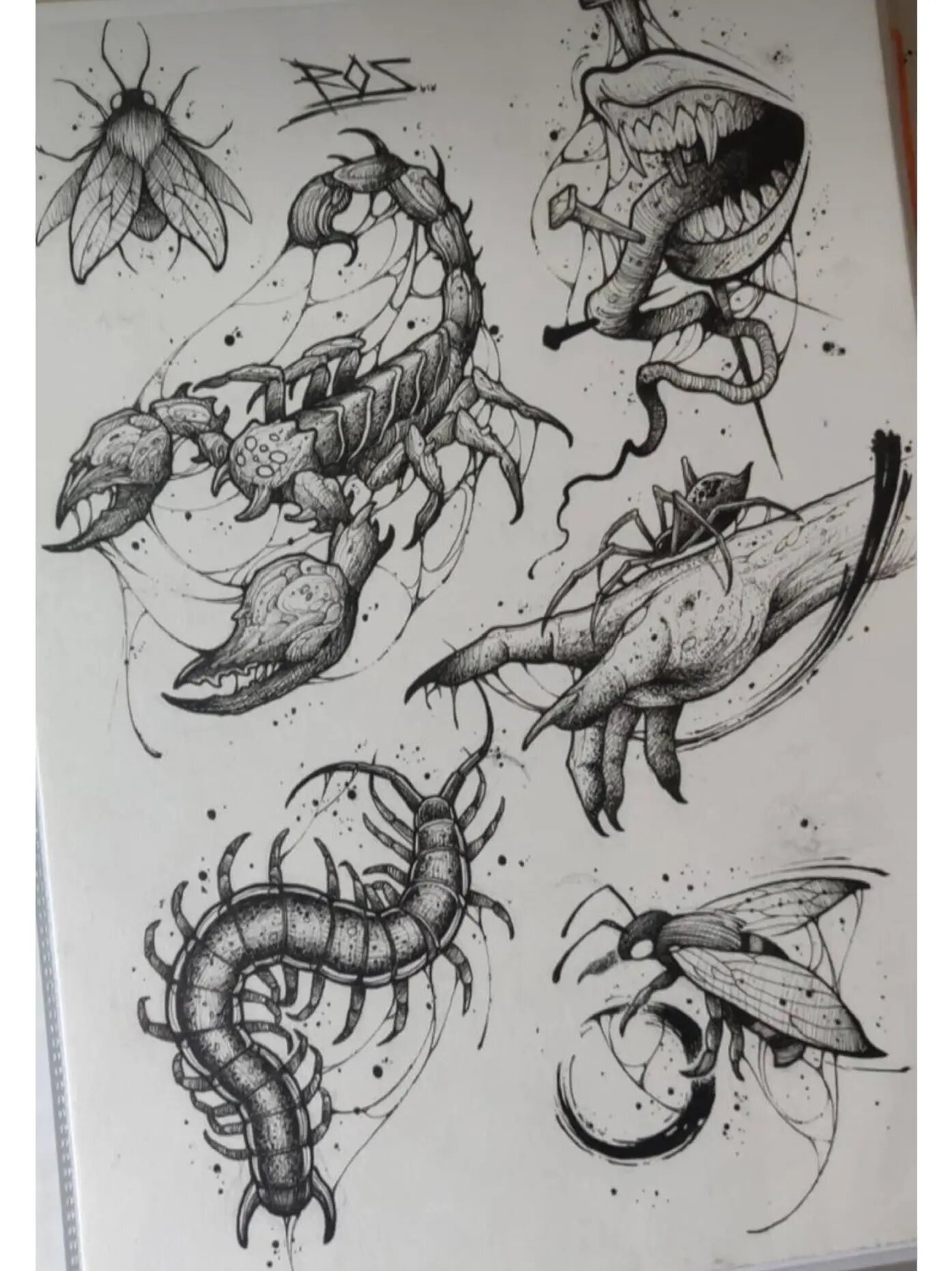 蝎子纹身图案素材手稿