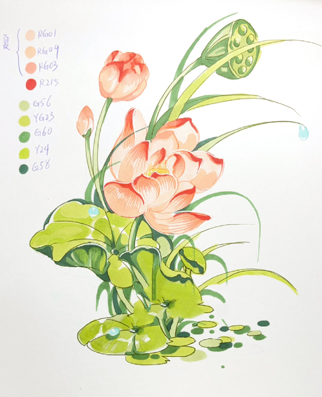 马克笔手绘—花卉元素—荷花单体示范