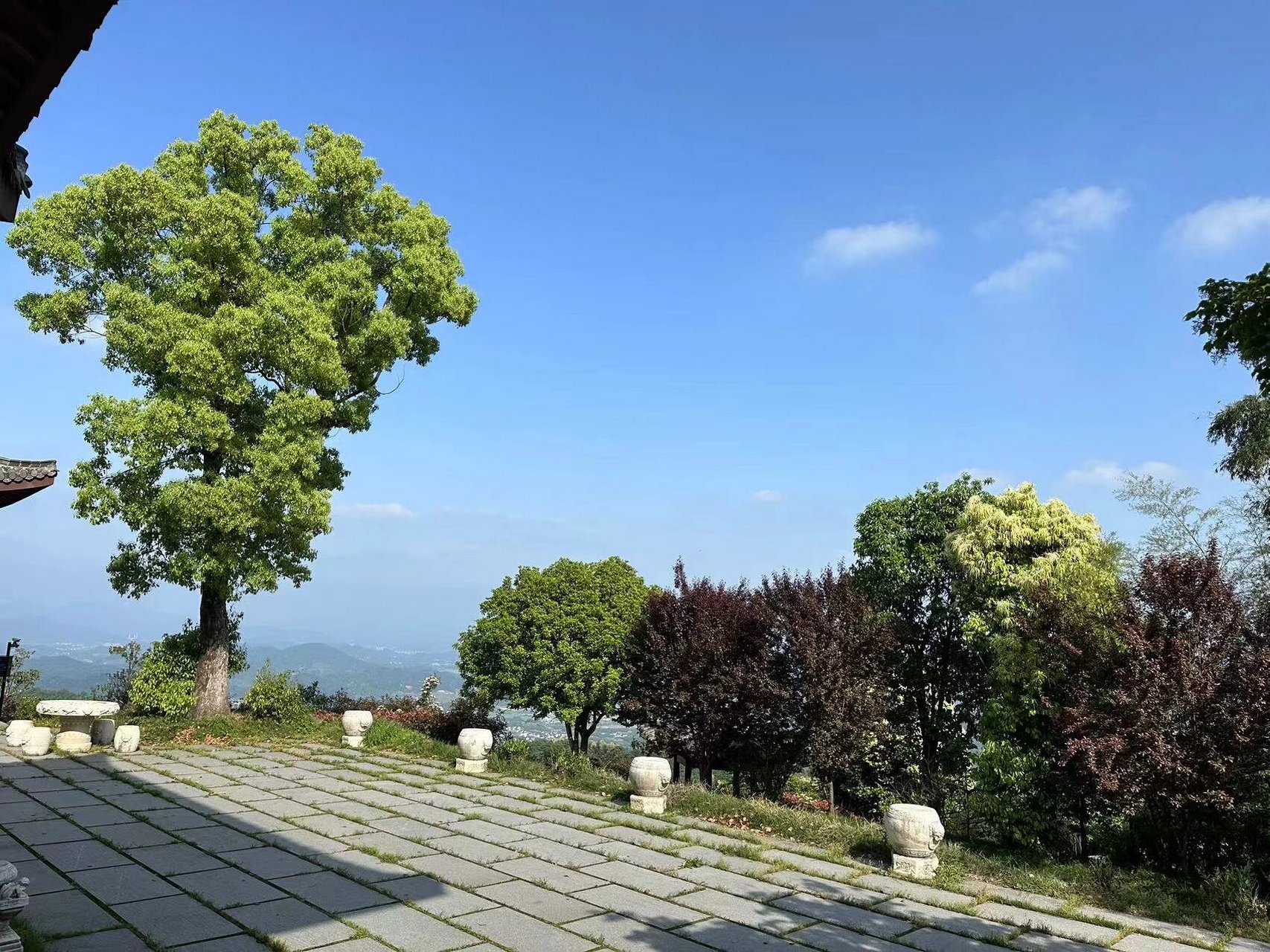 游崤山—看山顶美景,品春茶,识草药 崤山位于杭州市富阳区胥口镇里坞