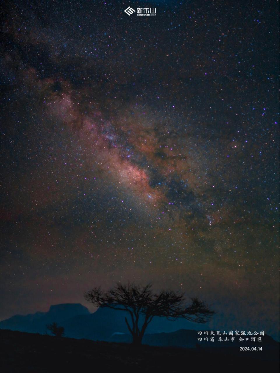 明月隐高树,长河没晓天