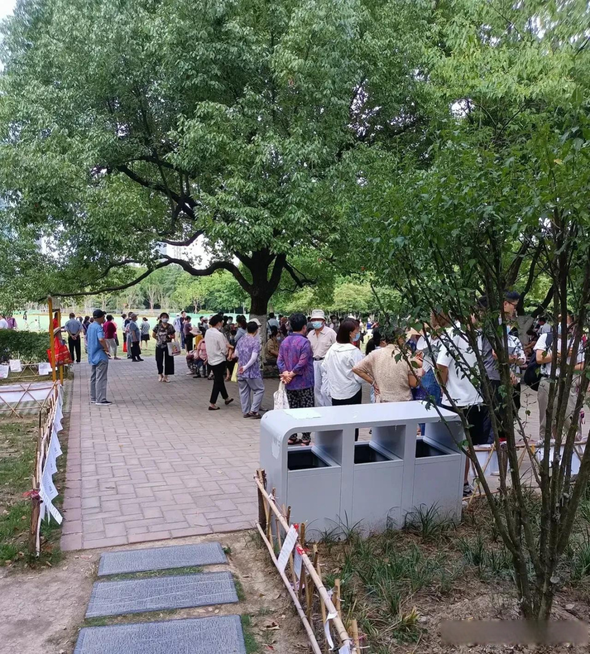 勇闯合肥杏花公园相亲角 刚去就见识一个奇葩,自称合肥三套房,全家四