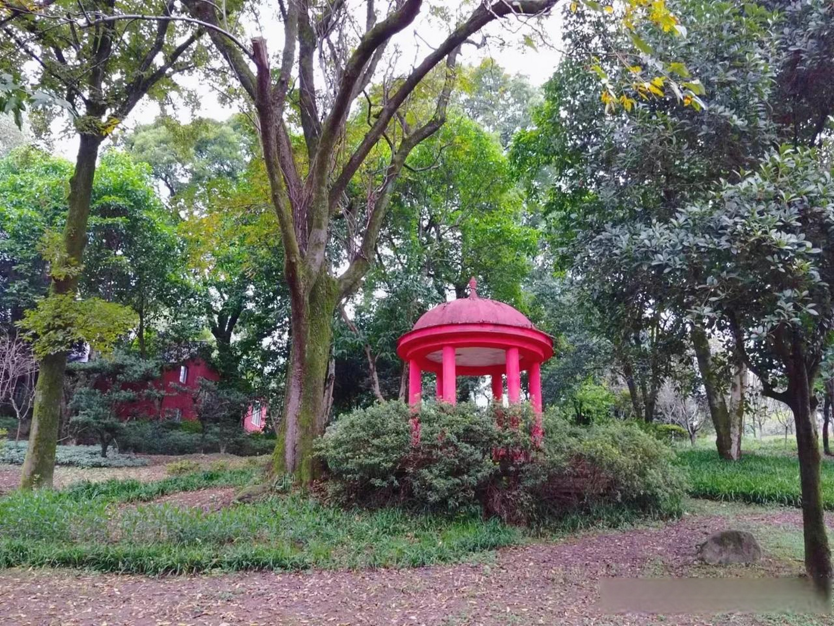 重庆南山植物园景区图片