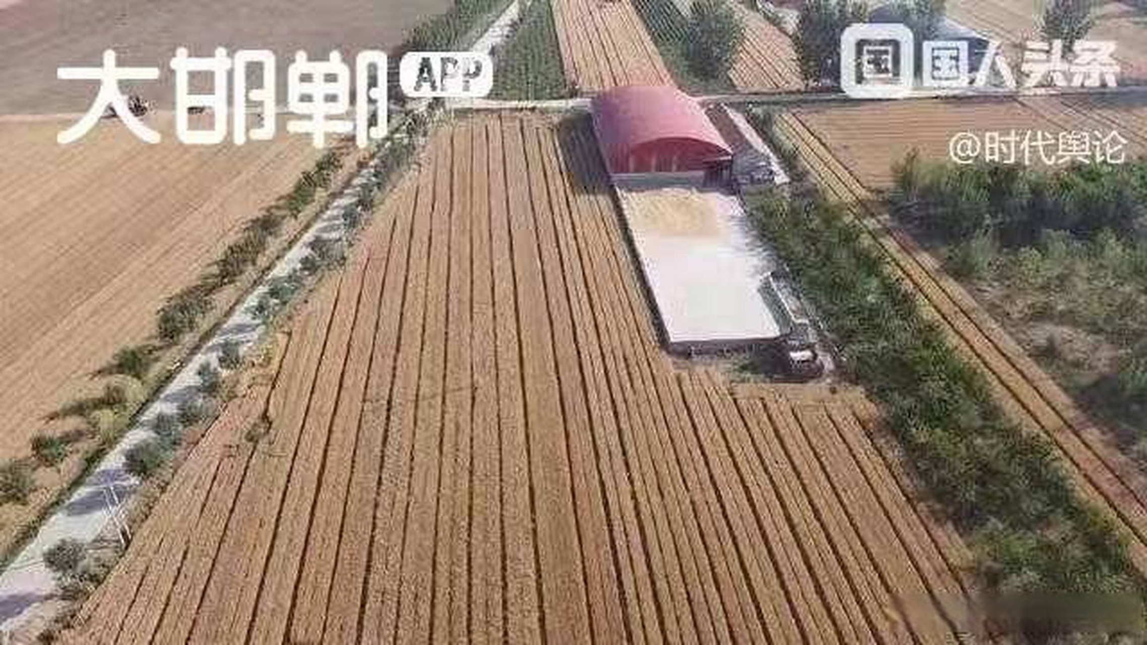 邯郸市魏县张二庄镇军寨村村支书非法占地圈地,谁是他的保护伞?