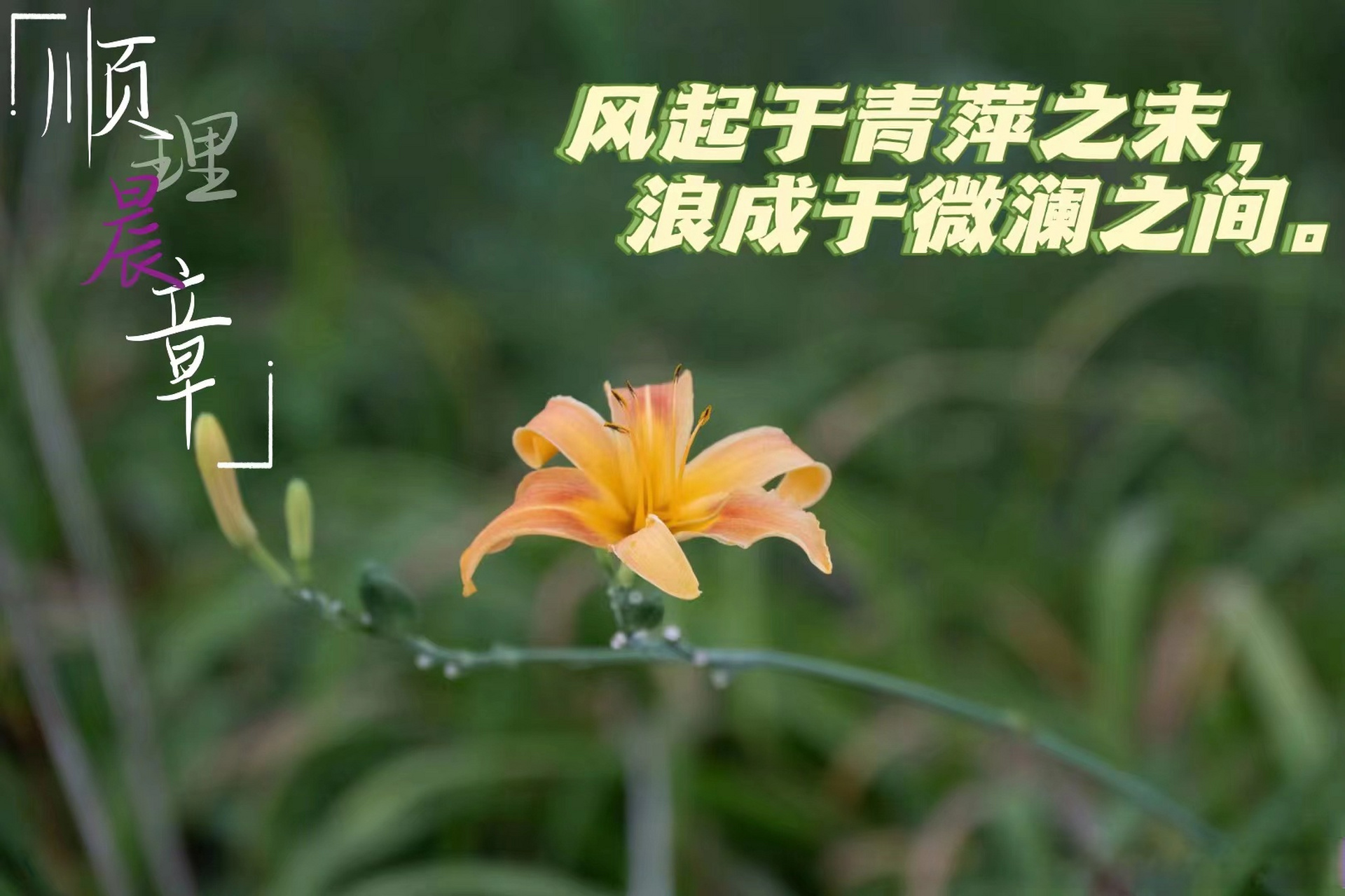 南京理工大学##顺理晨章#  风起于青萍之末,浪成于微澜之间.