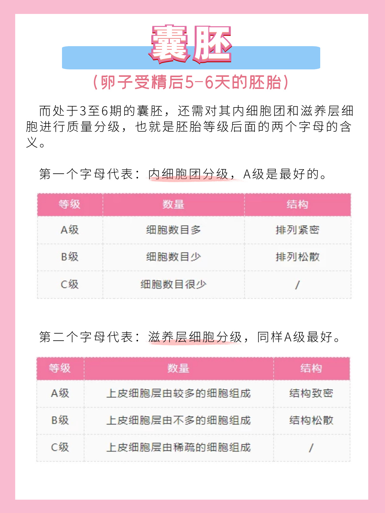 医生,我的胚胎质量怎样?移植成功率高吗?
