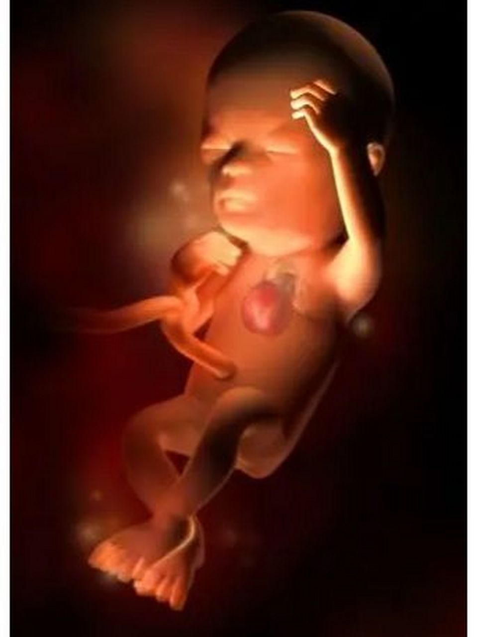 0202#临沂月嫂 0202#备孕 0202#孕妈 	 孕14周:胎儿长出