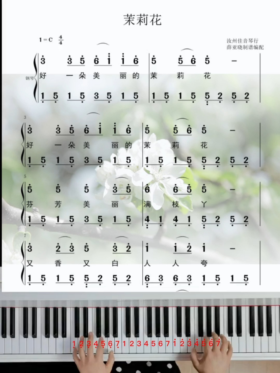 民歌经典《茉莉花》最清晰的简谱教会你弹奏哦!