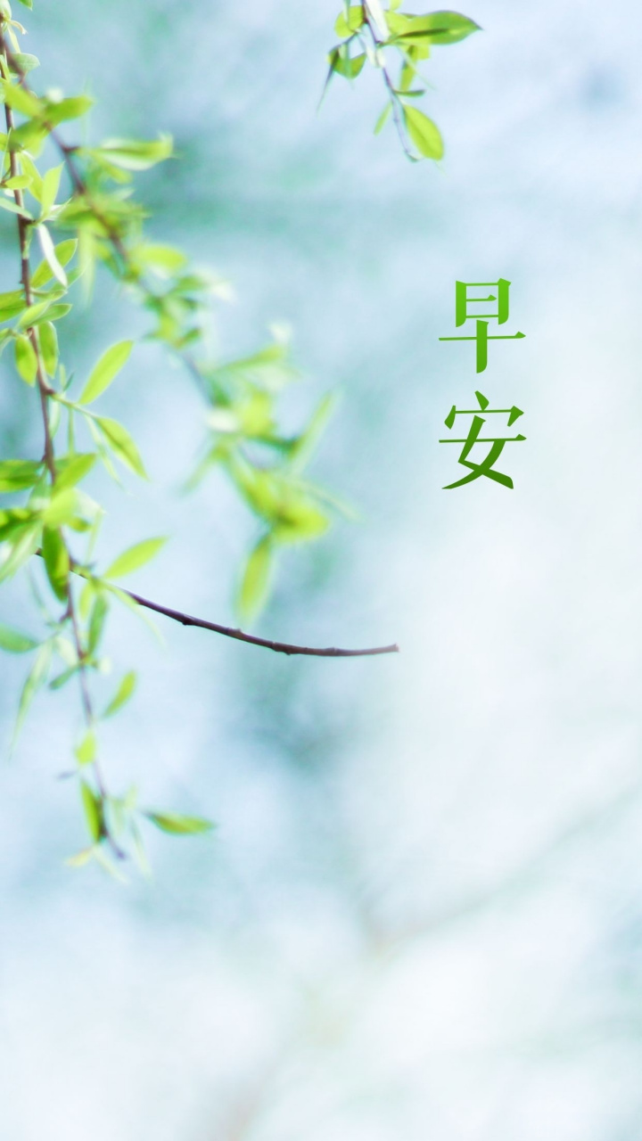 早安北京#  今日天气阴有小雨,气温最高26°,最低13°.