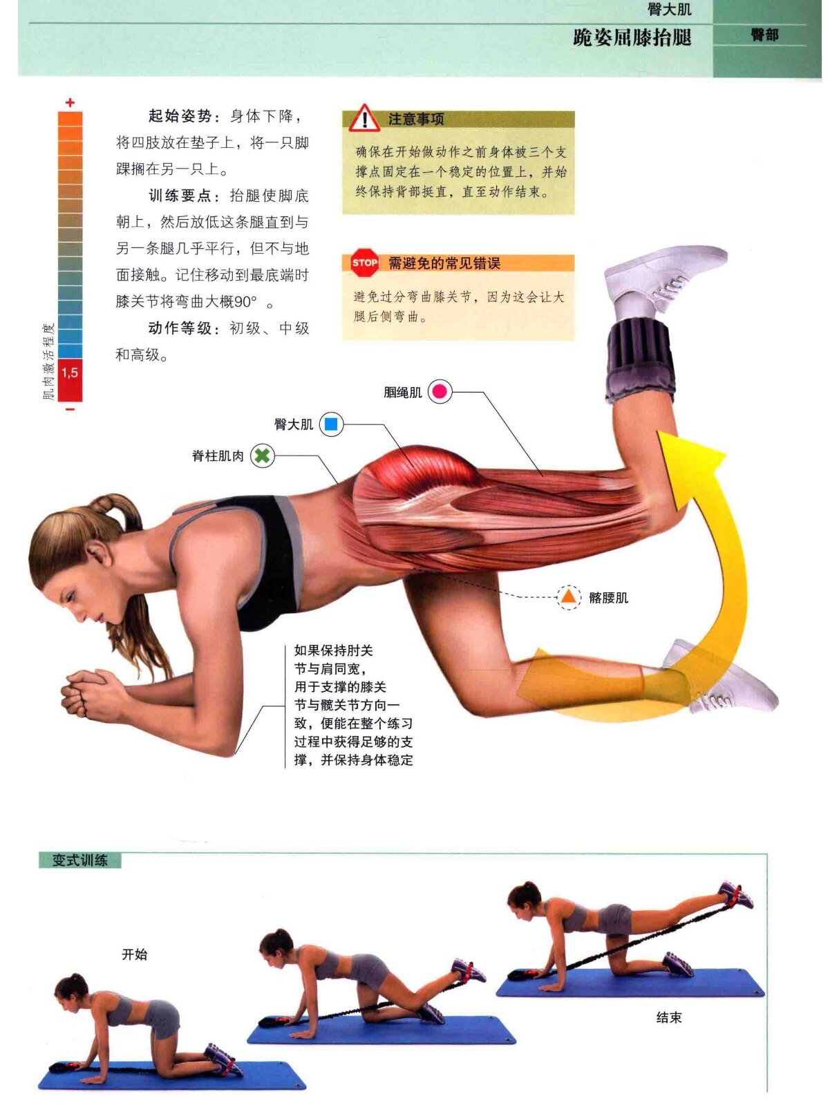 臀部肌肉锻炼经典动作图片