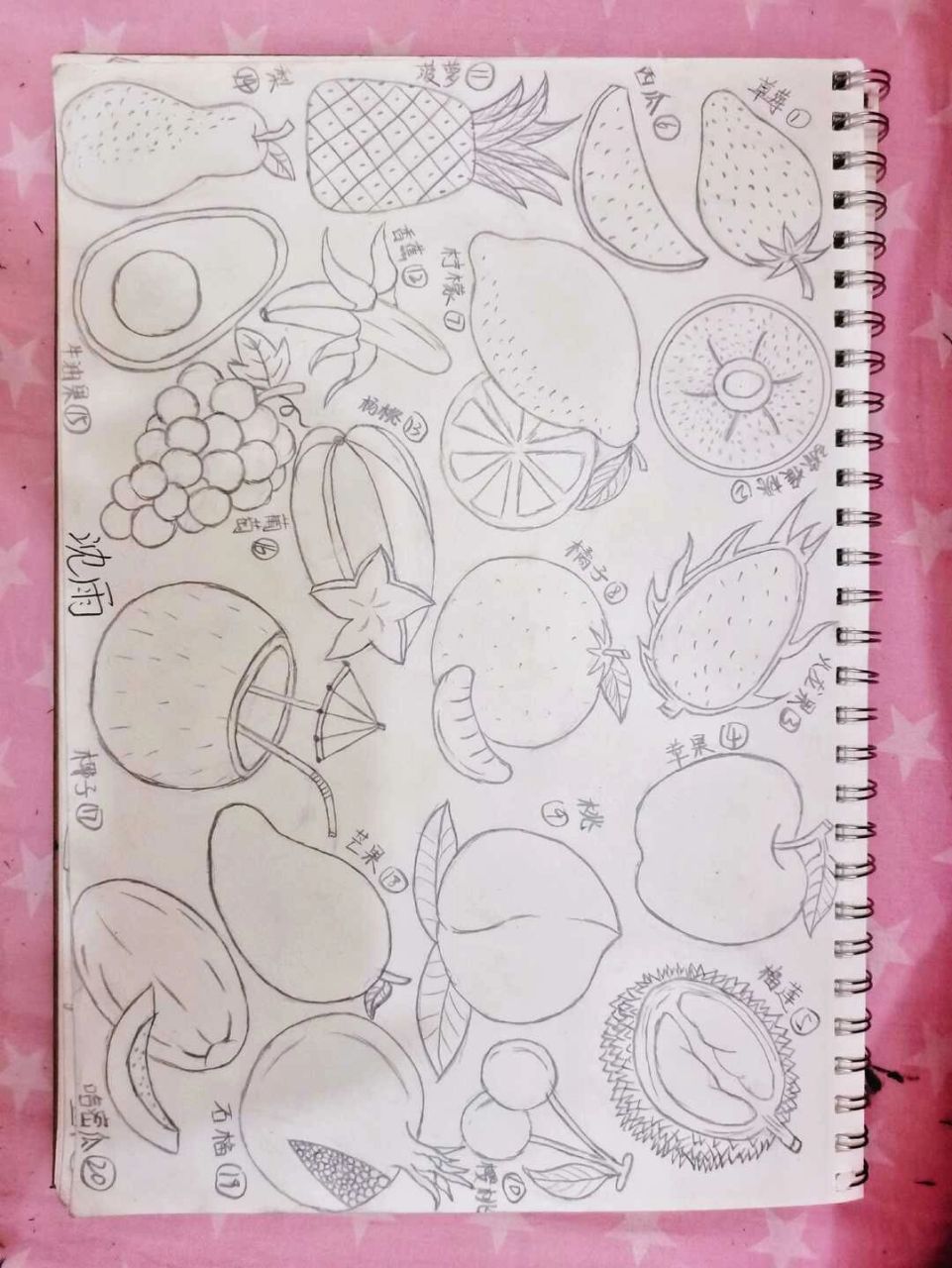 水果简笔画 蔬菜简笔画 水果简笔画20种 蔬菜简笔画20种