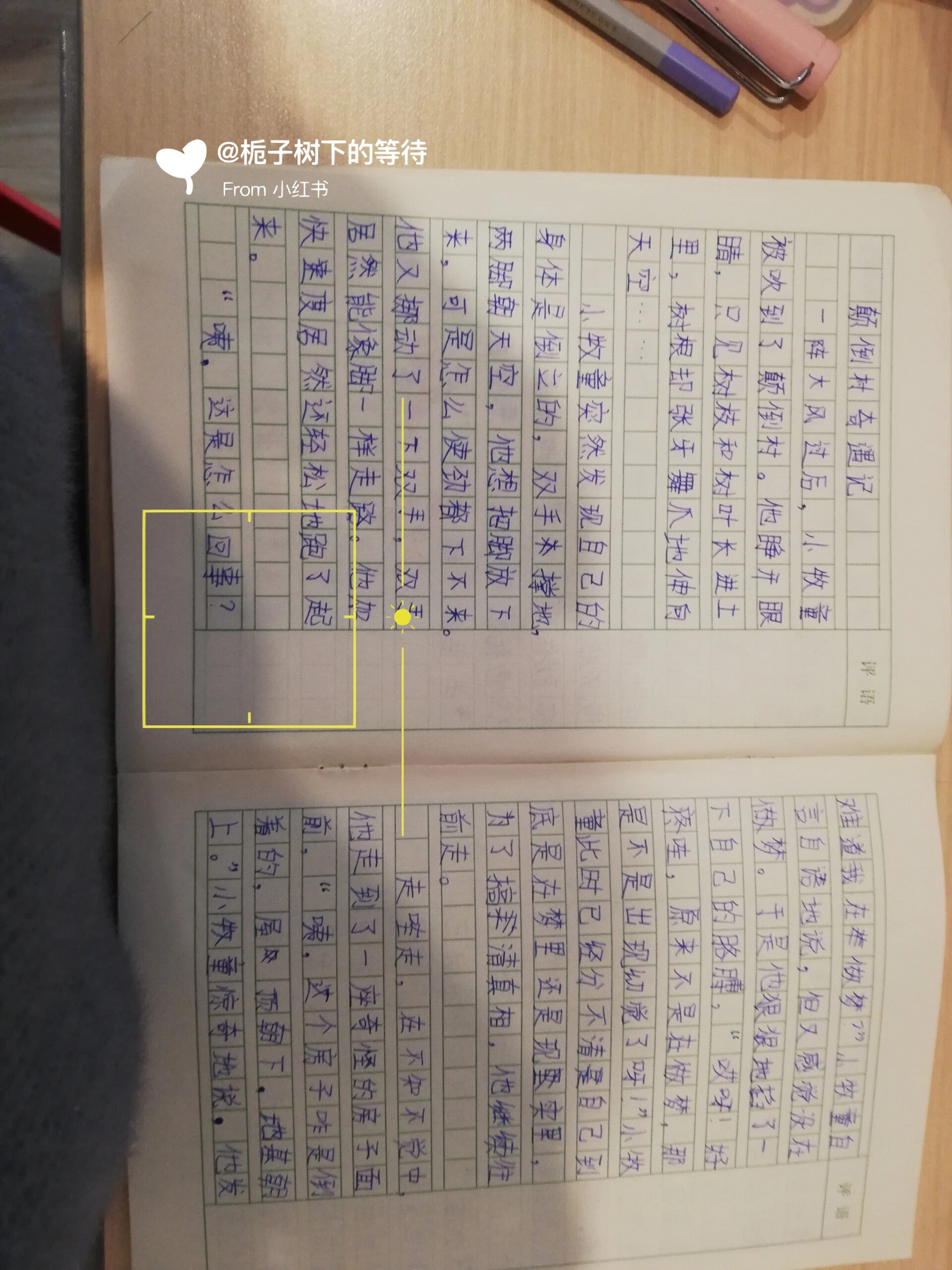 p白续写