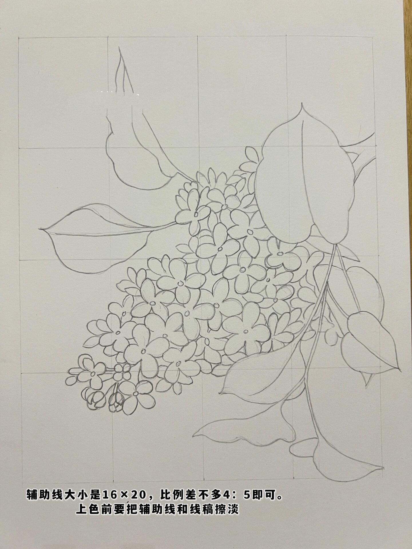 彩铅花卉——丁香花,附步骤图