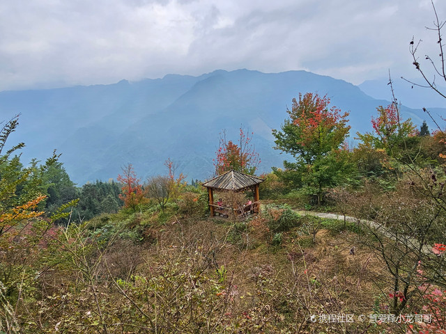 什邡红枫岭景区门票图片