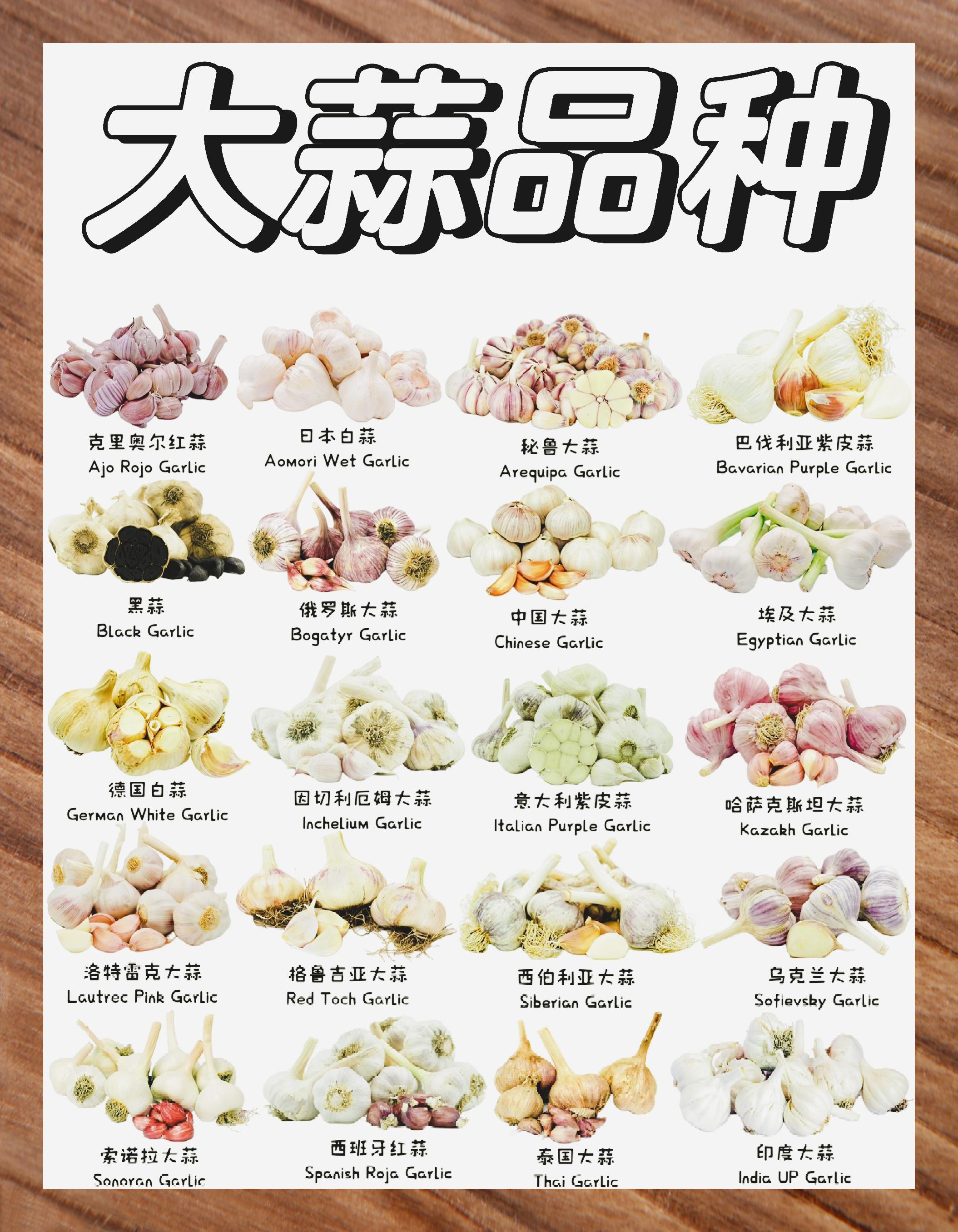 尝遍全球大蒜你解锁了几种风味 9215【蒜香世界大揭秘】9215