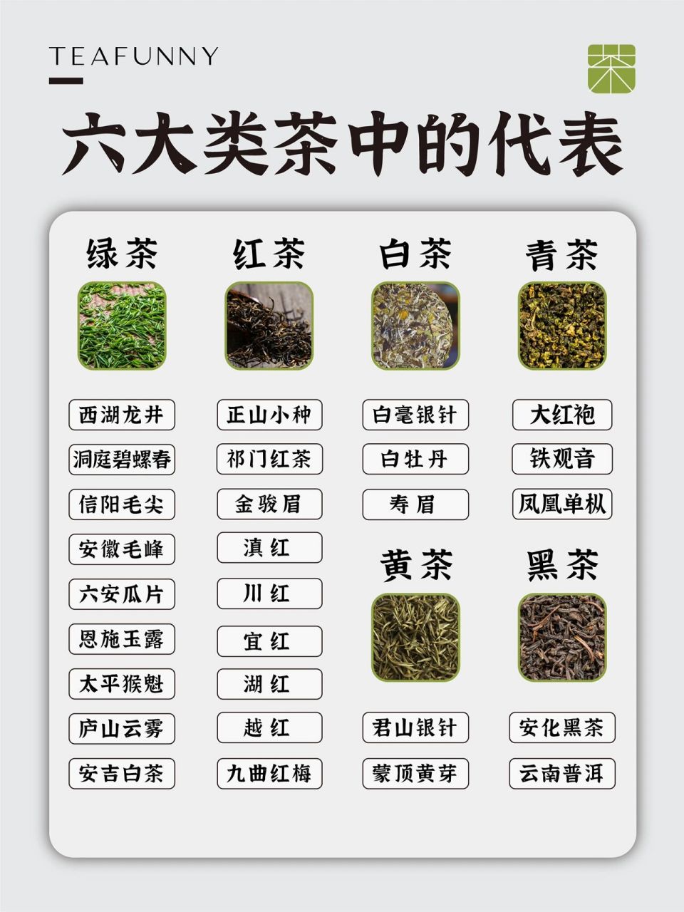我国的茶叶按照加工工艺不同,可分为绿茶,黄茶,白茶,乌龙茶(青茶)