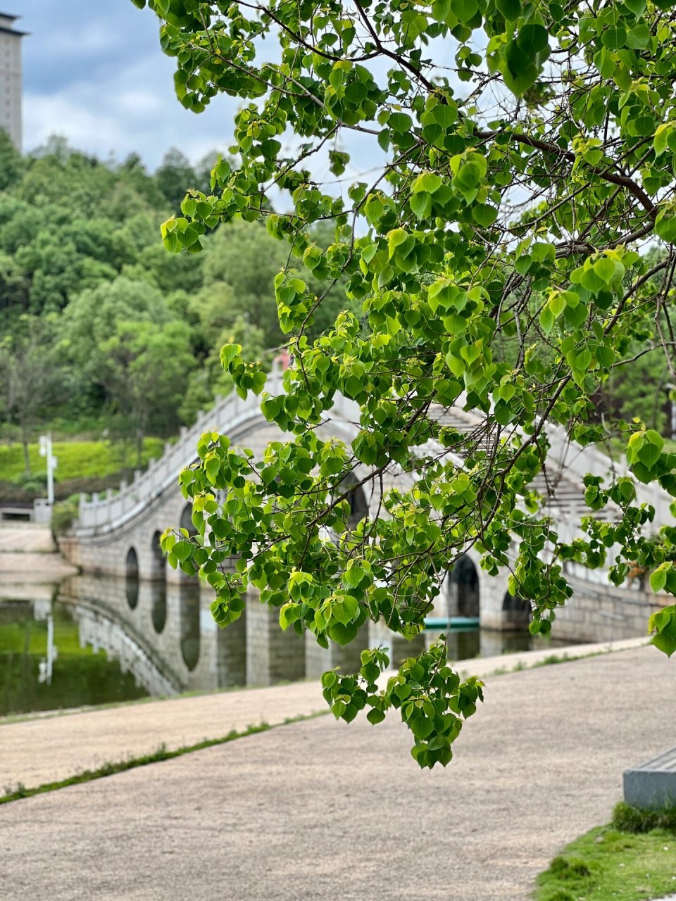 夏日小公园图片