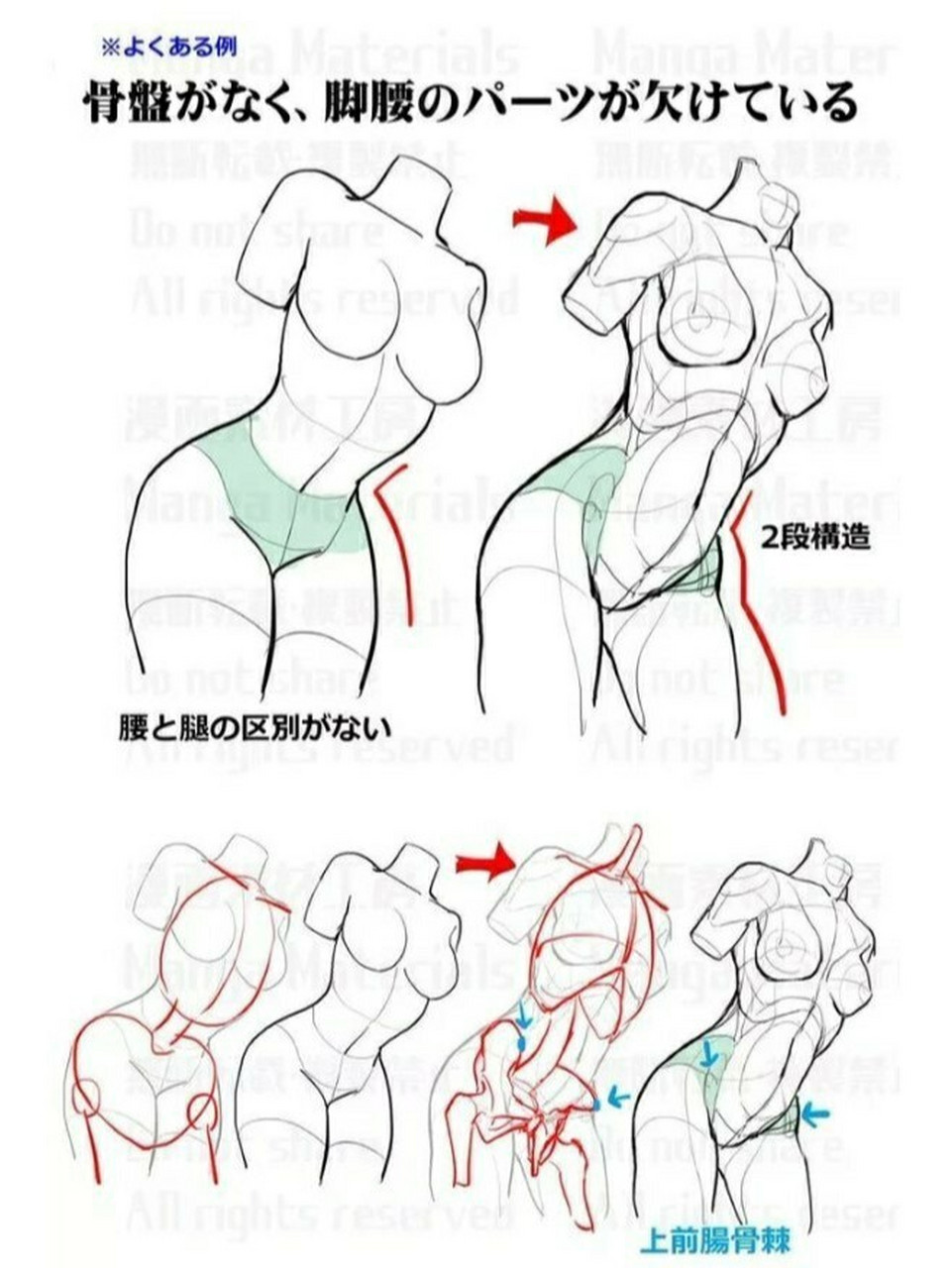 【绘画教程】本子必备女生人体画法 女生身体画法参考 素材 来自:漫画
