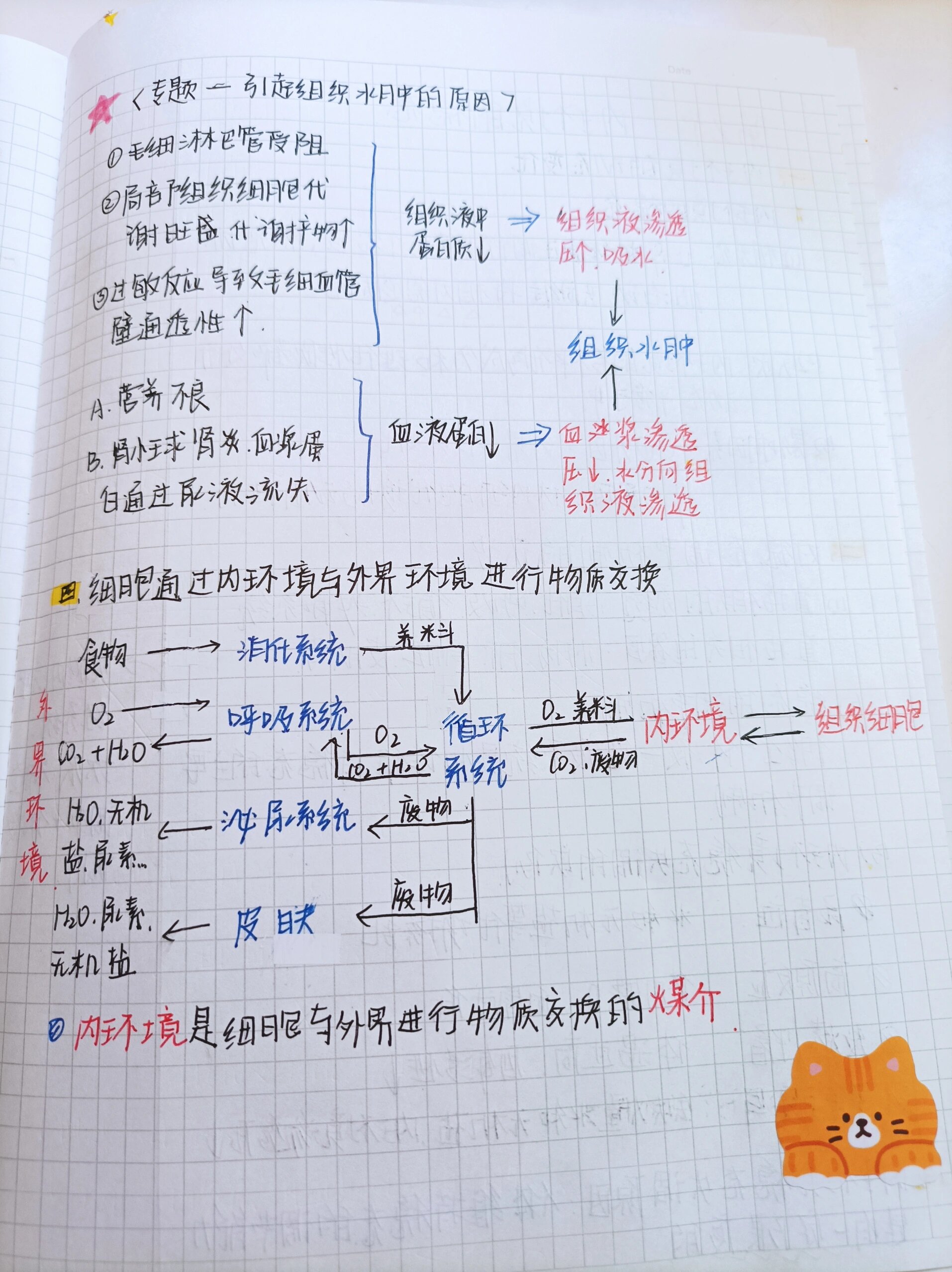 内环境稳态的调节机制图片