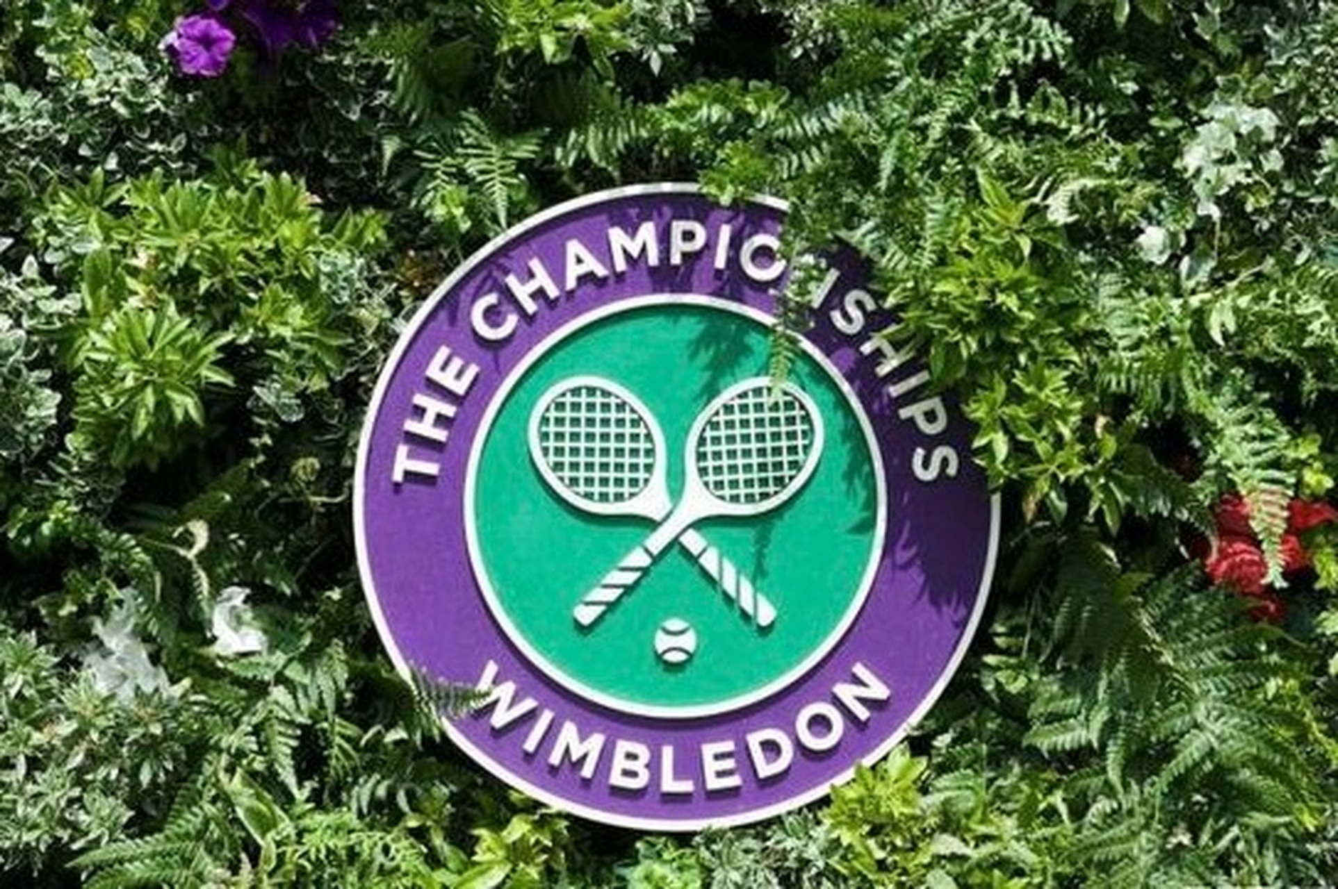 今晚,2023年温布尔登网球锦标赛正赛将拉开战幕,本次温网共有9名中国