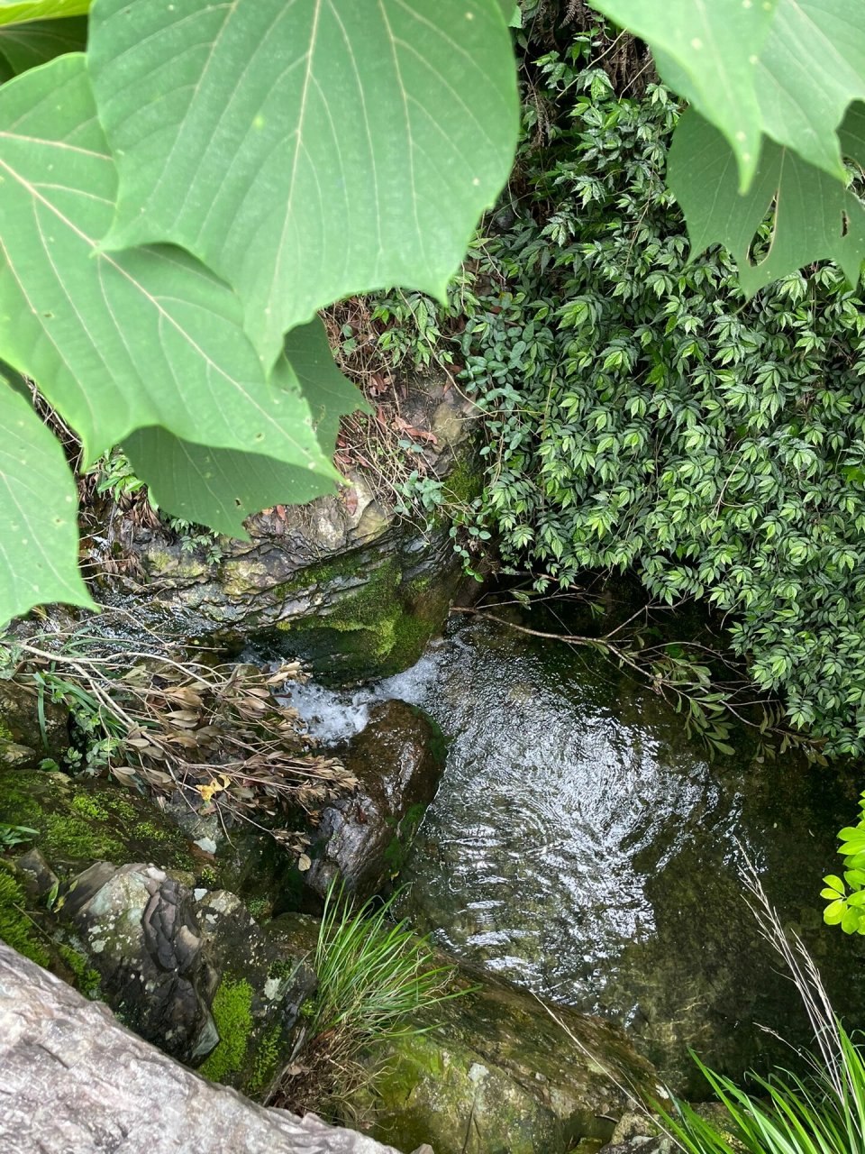 平阳苍南图片