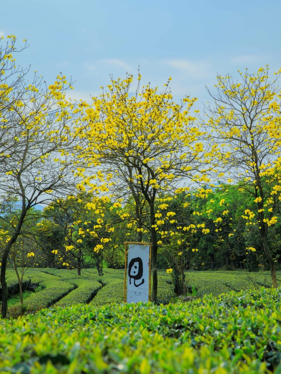 周末踏青|象窝山生态园·享受天然氧吧 想与大自然亲密接触71想找寻