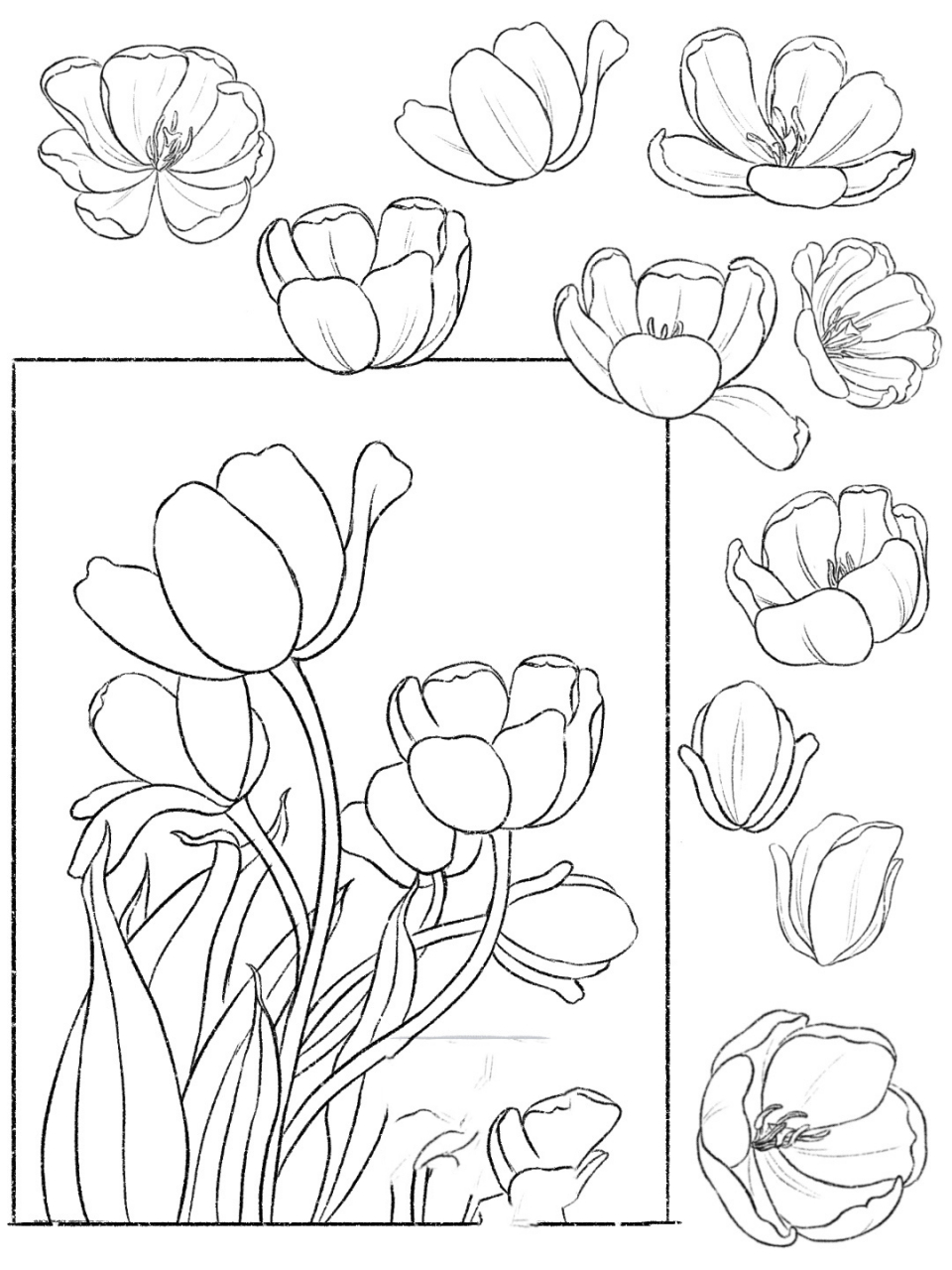 速写花朵简笔画图片