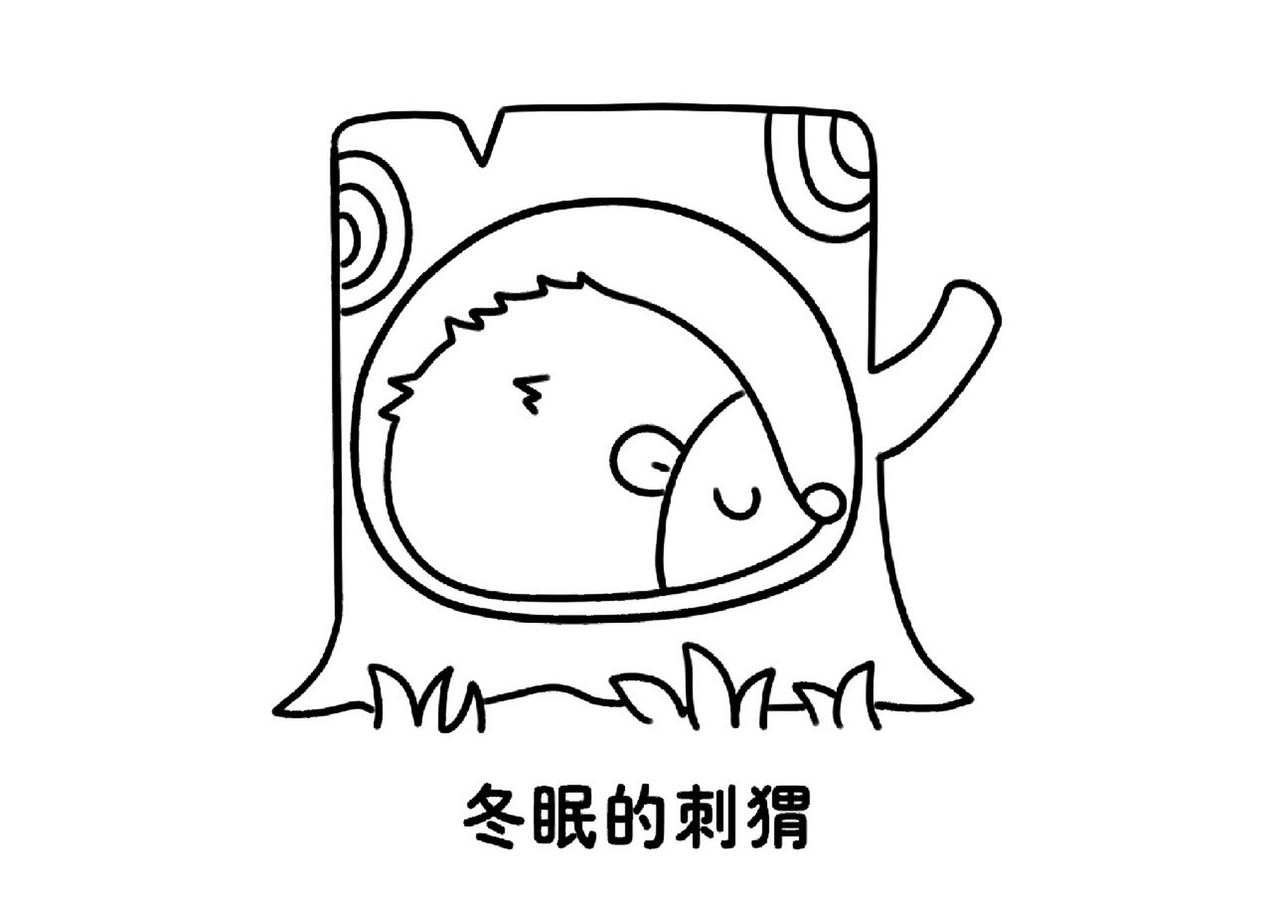 狗熊冬眠简笔画图片