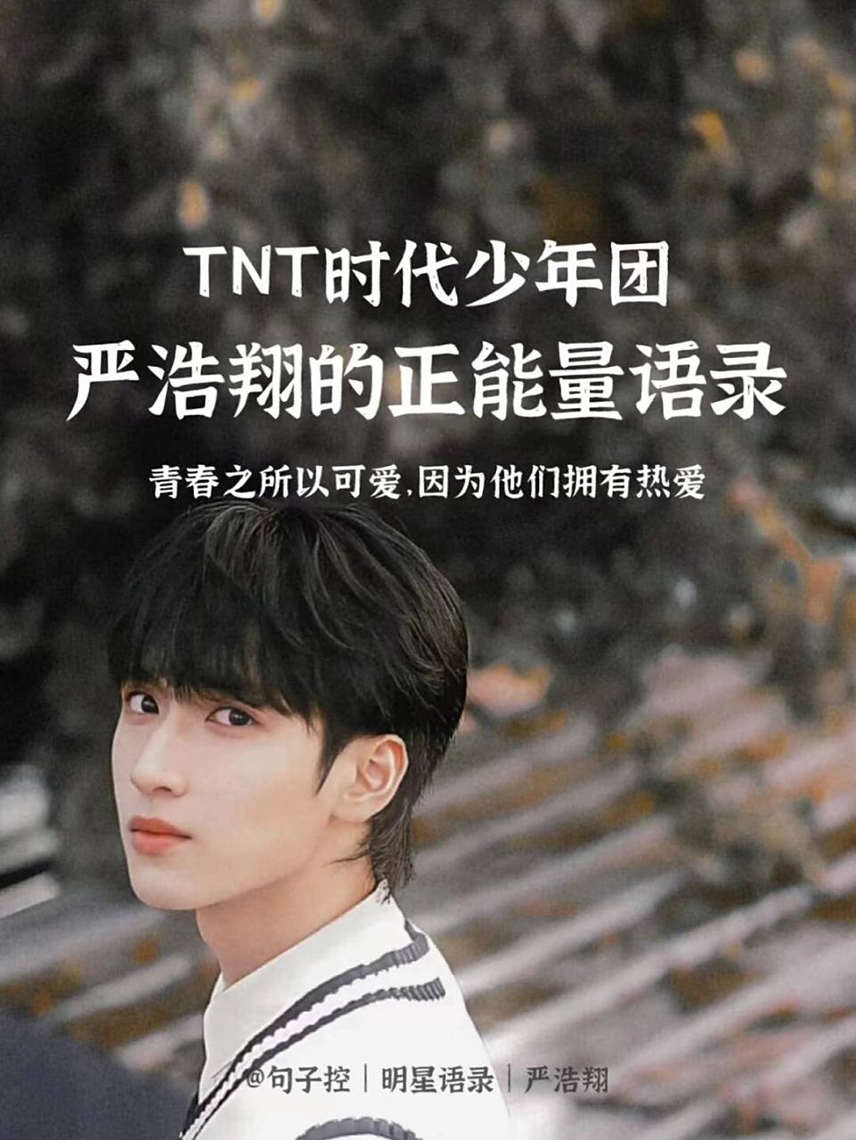 严浩翔语录|少年在黑夜里也仍坦荡顽强 努力前进的少年闪闪发光60