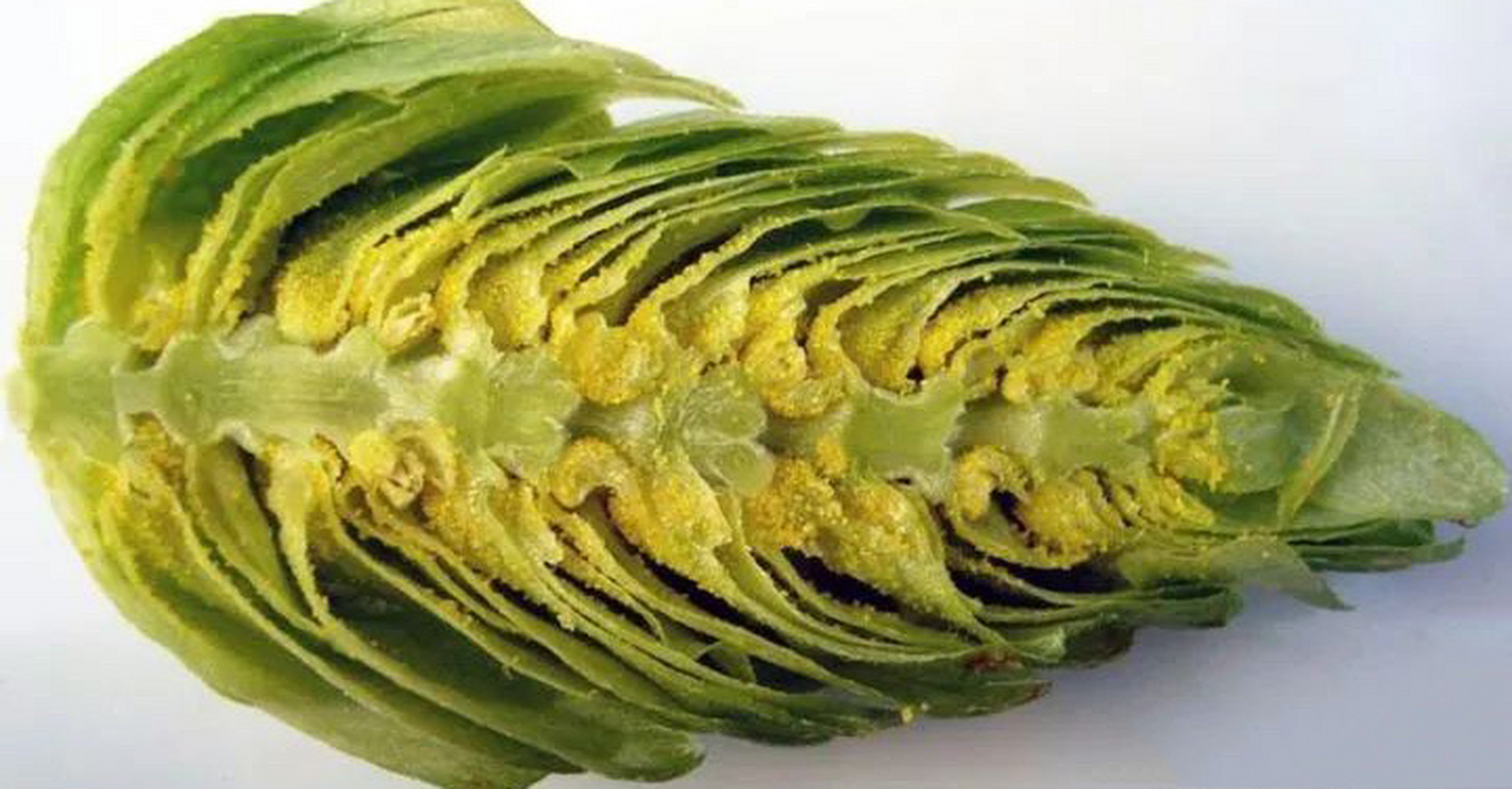 8715我们先从啤酒花讲起.浸膏的主要输入是啤酒花,又叫蛇麻草.