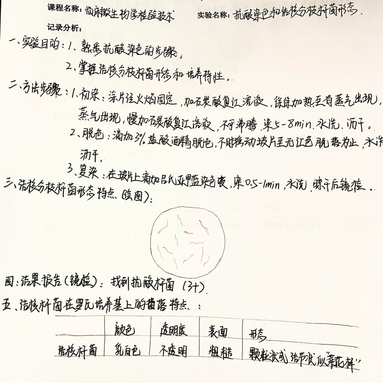 抗酸染色实验报告08