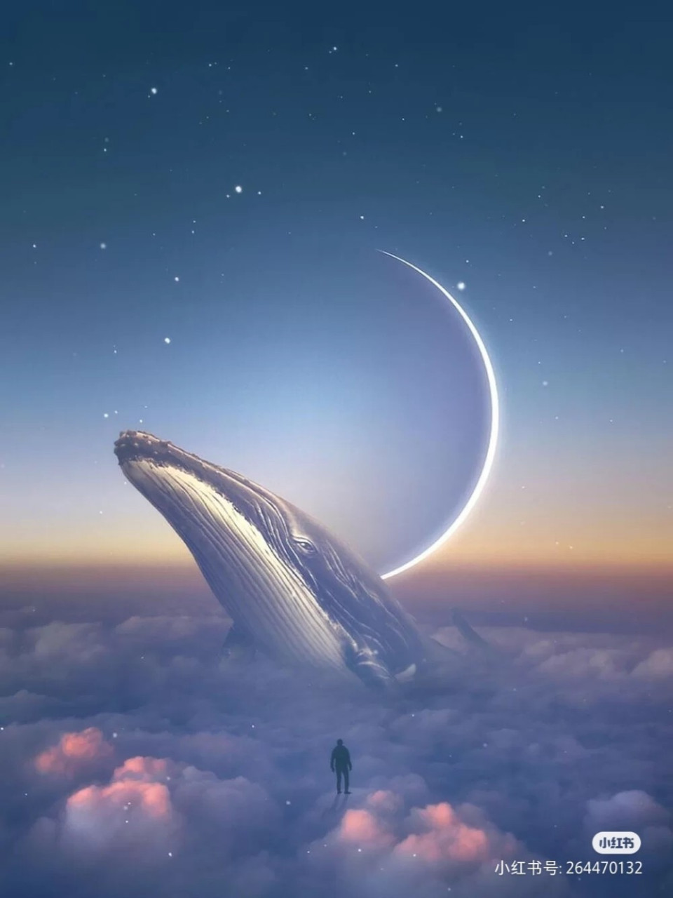 关于鲸落的唯美句子:人间最美,不过鲸落 1,人间最美,不过鲸落,一念