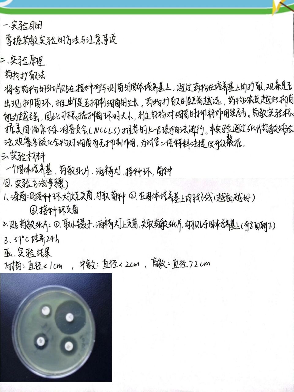医学免疫学实验报告之药敏实验