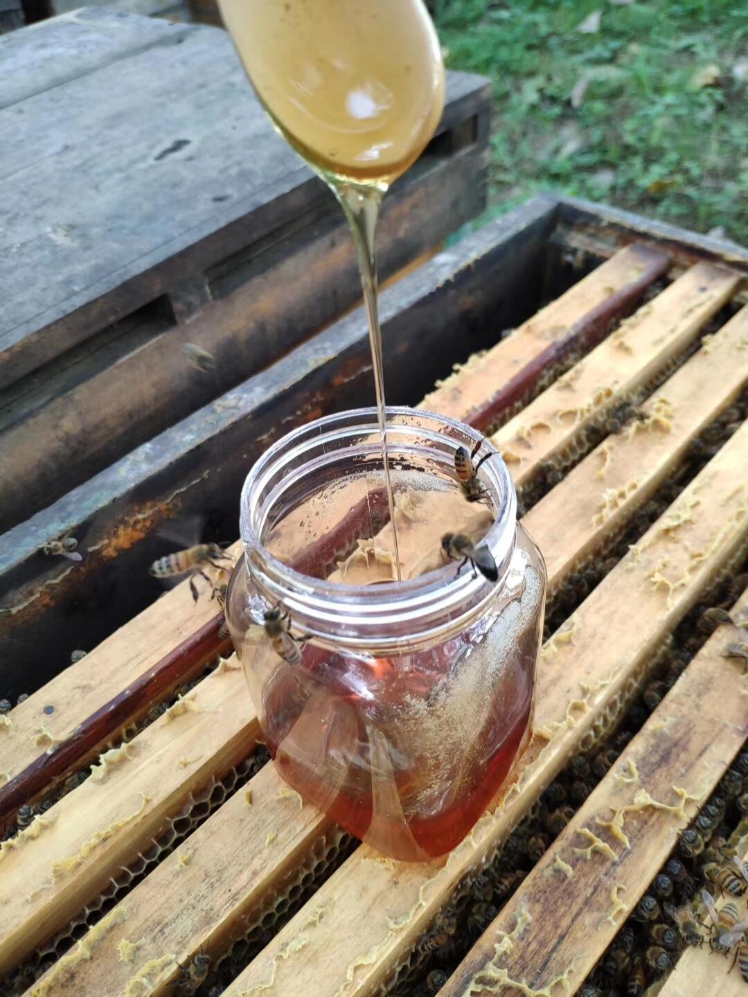 一岁宝宝便秘能不能喝蜂蜜水(一岁宝宝便秘可以喝蜂蜜水吗?)
