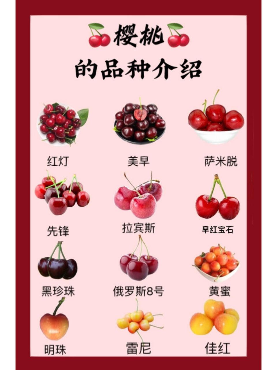 樱桃品种大全,带你了解樱桃品种 樱桃还有很多品种比如: 1,美国樱王