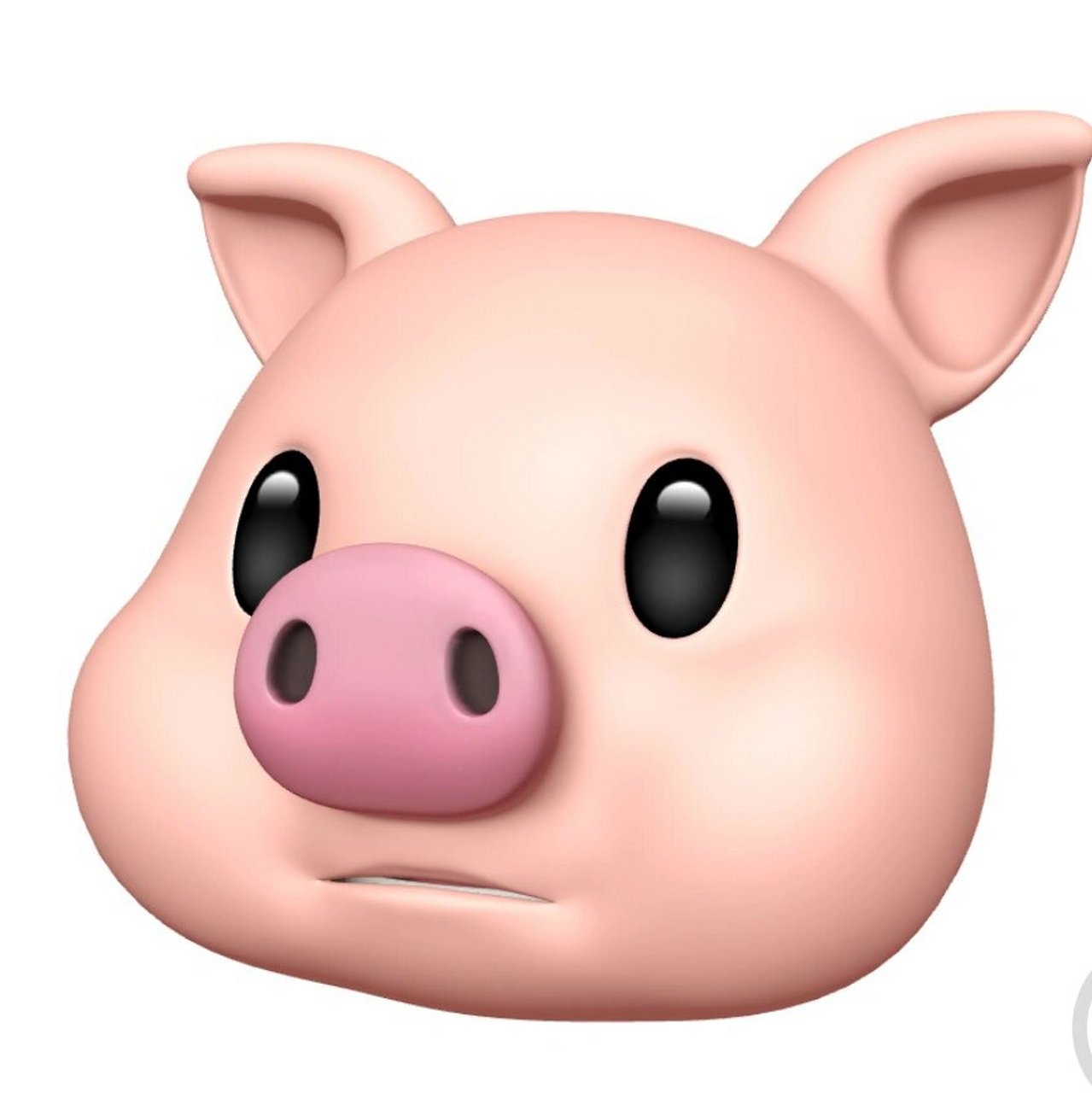 猪头图片 小猪小猪呼噜噜99 可爱又治愈90 希望在平淡的生活中
