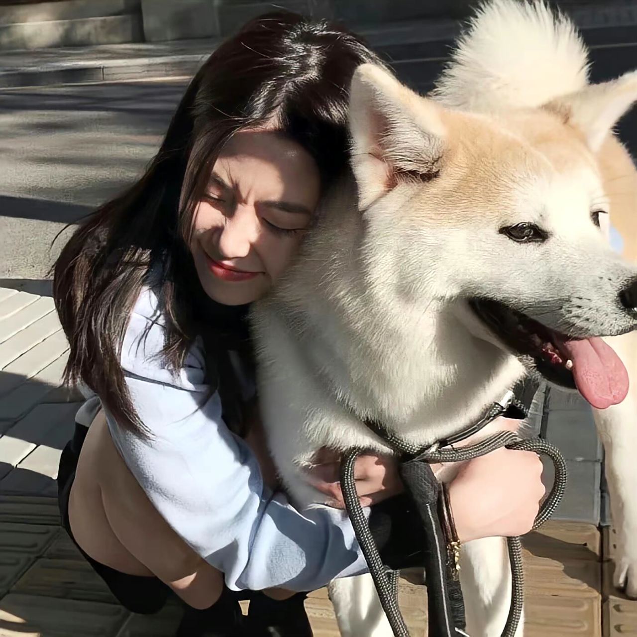 抱狗狗女头 下午好 深情的射手座和其他11个不深情的星座