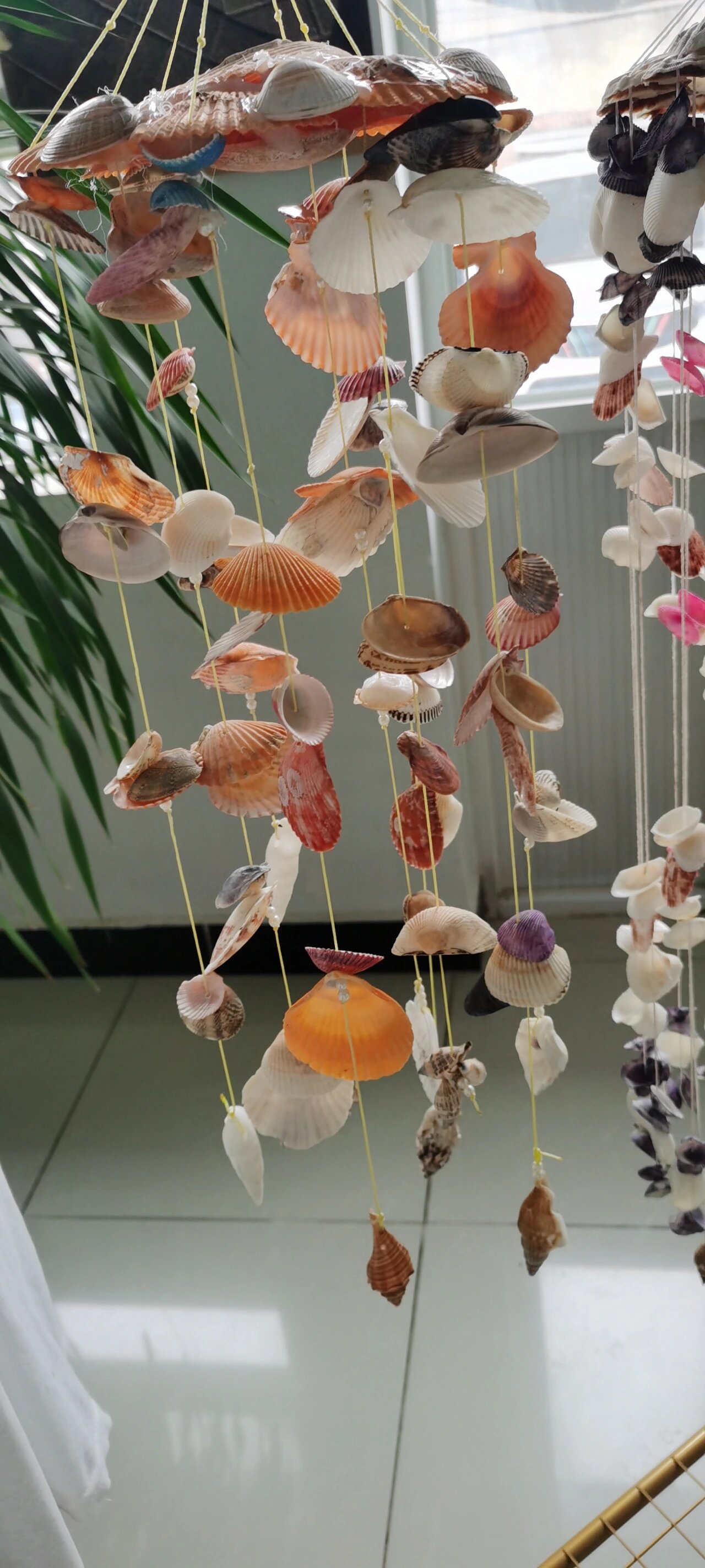去海边玩捡的贝壳做成了自己喜欢的风铃蛮好看的