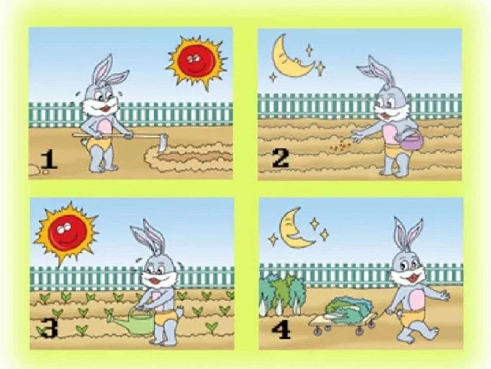 二年级看图写话小白兔图片